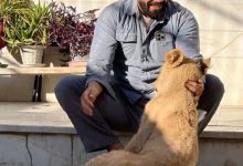 ماجرای نگه‌داری توله‌ شیر از زبان علی‌اکبری: هفته‌ای یک بار لئو را می‌بینم!