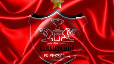 پرچم پرسپولیس روی مزار الهه حسین‌نژاد +عکس