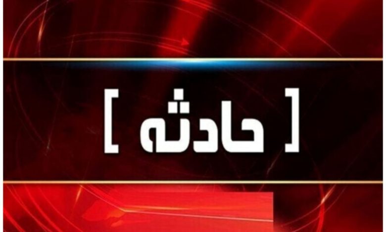 حمله وحشیانه یک اسراییلی به کودک دو ساله ایرانی در فرودگاه مسکو/ فیلم حاوی صحنه های دلخراش است