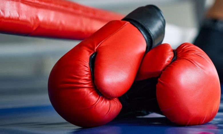 MMA زنان در ایران راه‌اندازی شد!/ آماده‌باش برای درخشش ملی‌پوشان دختر