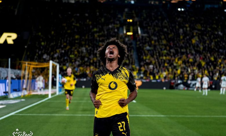 محکومیت سنگین ستاره دورتموند و همسرش؛ ۴۵۰ هزار یورو برای حمل سلاح!