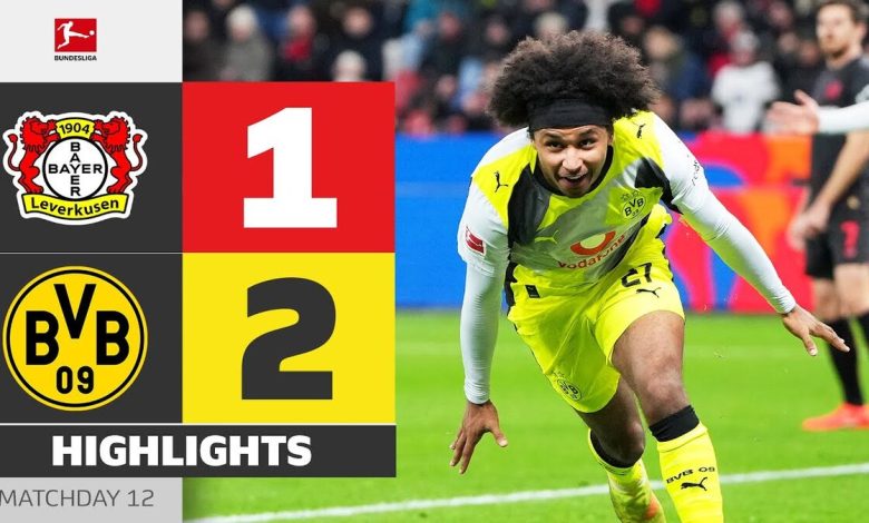 ویدیو| خلاصه بازی بایر لورکوزن ۱ - دورتموند ۲