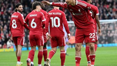 ویدیو| خلاصه بازی لیورپول ۲ - برایتون ۰/ درخشش صلاح و دبل اکیتیکه