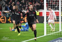 ویدیو| عقربی زیبا در حالت درازکش/ گل عجیب و غریب ستاره لورکوزن وایرال شد