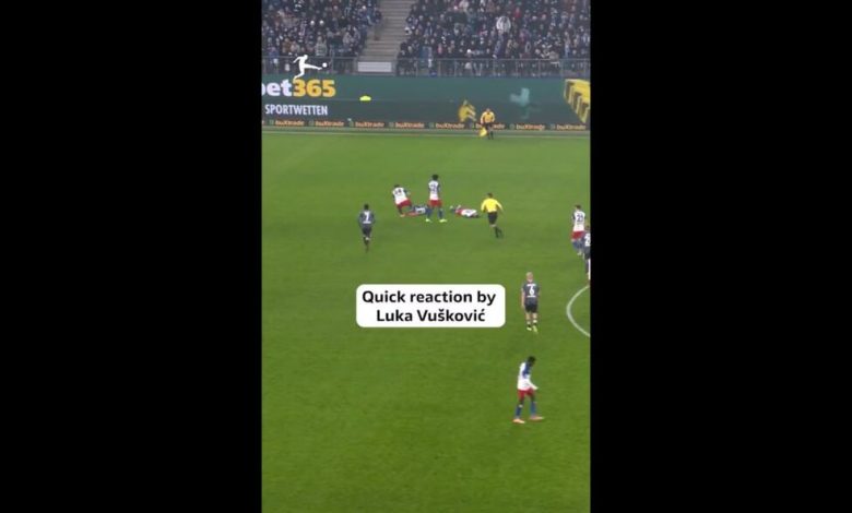 ویدیو| نجات رقیب از مرگ با واکنش سریع/ بازیکن هامبورگ جایزه فرپلی برد