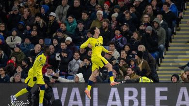 ویدیو| کریستال پالاس ۰ - تاتنهام ۱